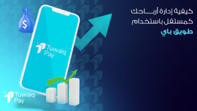 تنظيم المدفوعات الإلكترونية