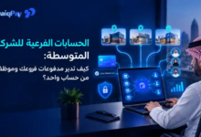 الحسابات الفرعية للشركات